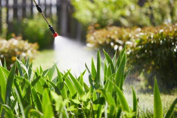 24/7 Emergency Ant Control experts in Santa Barbara, CA