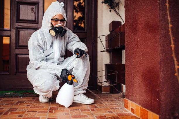 Reliable Ant Control contractor in Santa Barbara, CA by Nex Pest Control