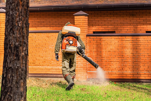 Trusted Rodent Control service in Santa Barbara, CA - Nex Pest Control